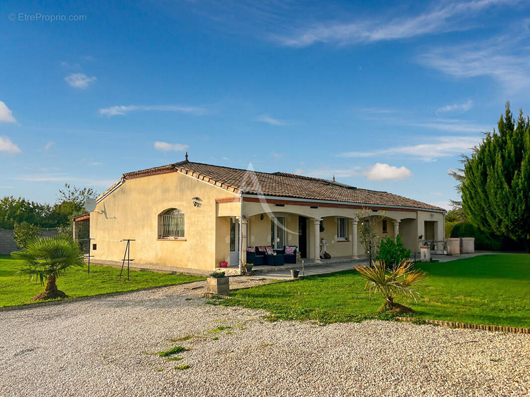 Maison à SAINT-VITE
