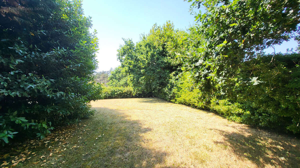 Maison à vendre à Le Palais : cadre idyllique, charme authentique et potentiel à saisir - photo 10