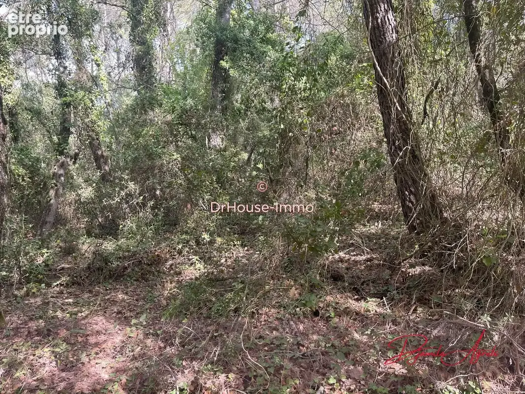 Terrain 4 300 m² à vendre à Cabasse (83340) - photo 3