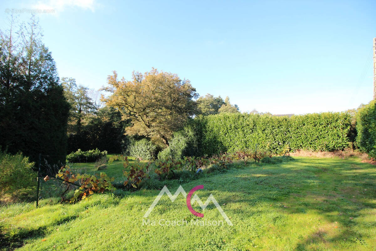 Terrain à SAINTE-ANNE-SUR-BRIVET