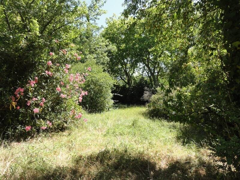 Terrain à VILLEPINTE