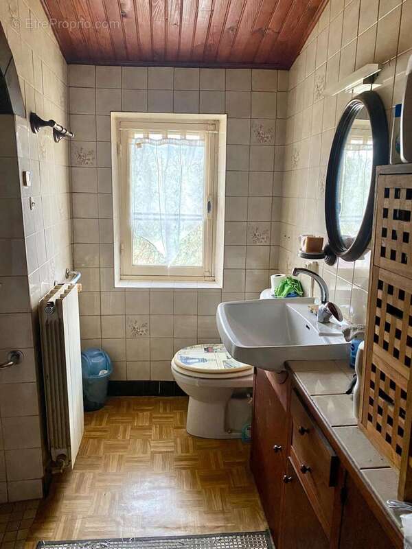 Photo 8 - Maison à SAINT-AMANS-SOULT