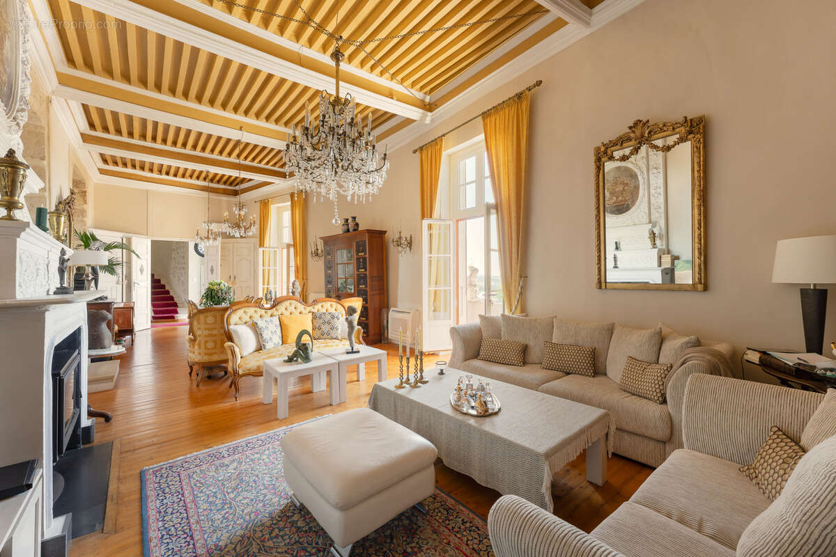 Château médiéval XII e Siecle rénové entre mer et Montagne avec vue  en 360 degrés sur la vallée verdoyante - photo 12