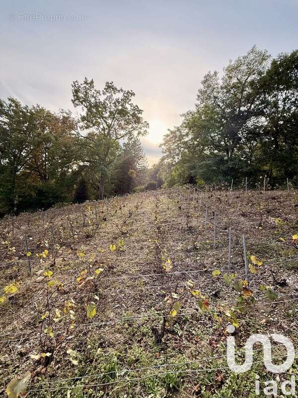Photo 4 - Terrain à CHATEAU-THIERRY