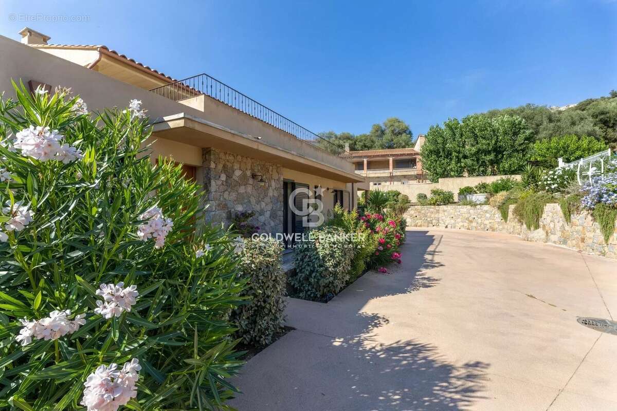 Aregno - Beau T3 vue montagne - Terrasse & jardin - photo 30