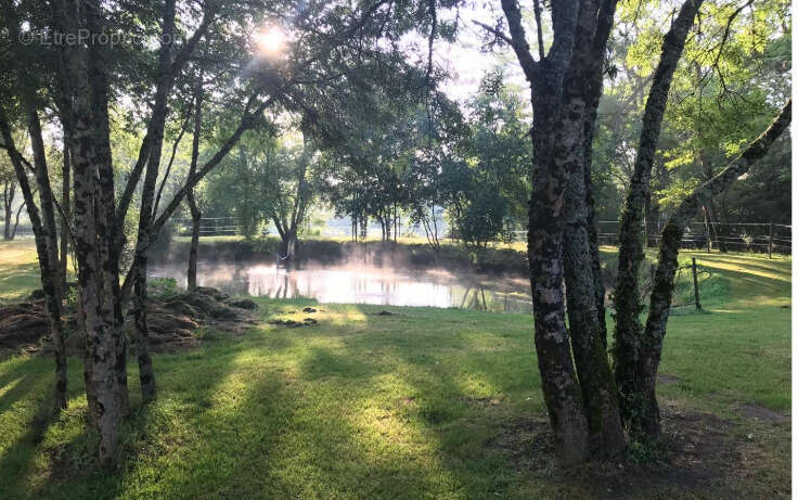 Autre à SAINT-CHRISTOLY-DE-BLAYE