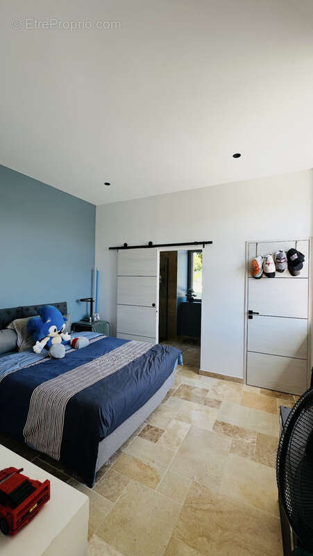 PROPRIETE avec piscine sur un 1,1 ha clôturé - photo 21