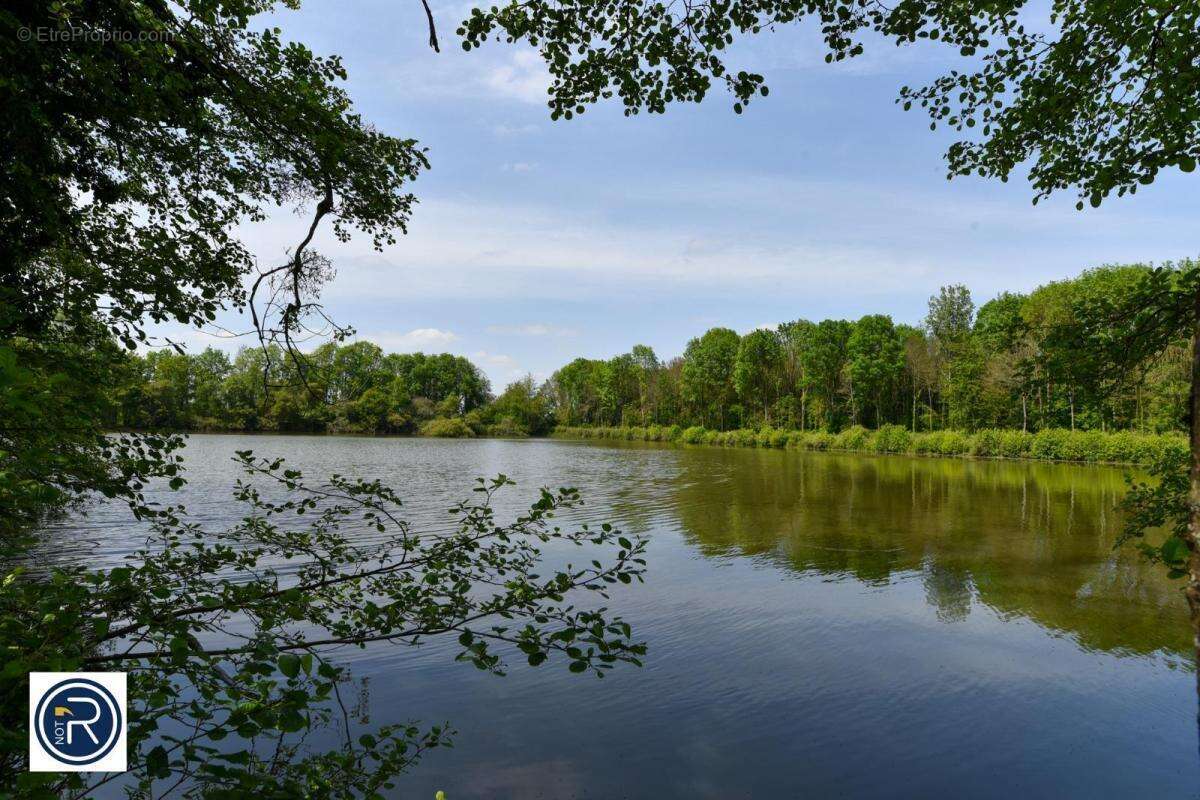 Maison à LA CHAPELLE-ANTHENAISE