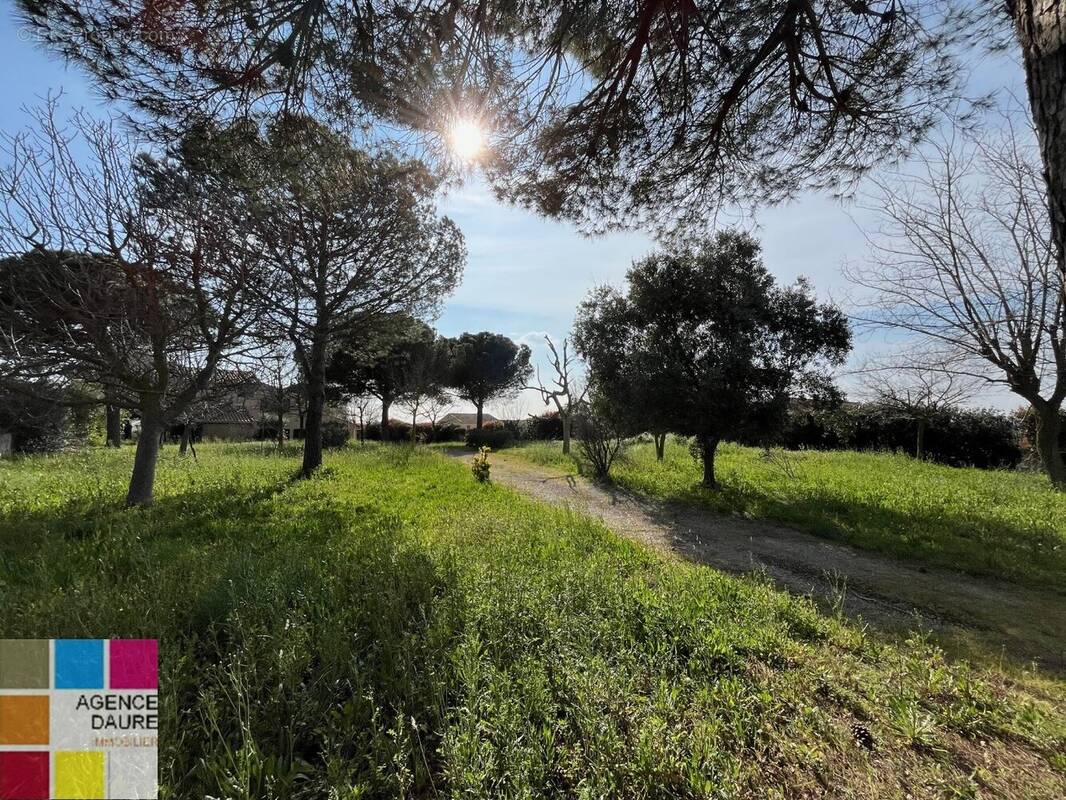 Terrain à PORTIRAGNES