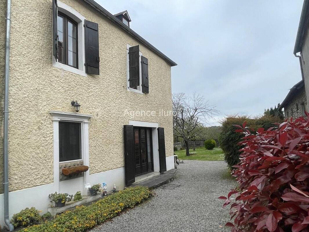 IMG_7324 - Maison à OLORON-SAINTE-MARIE