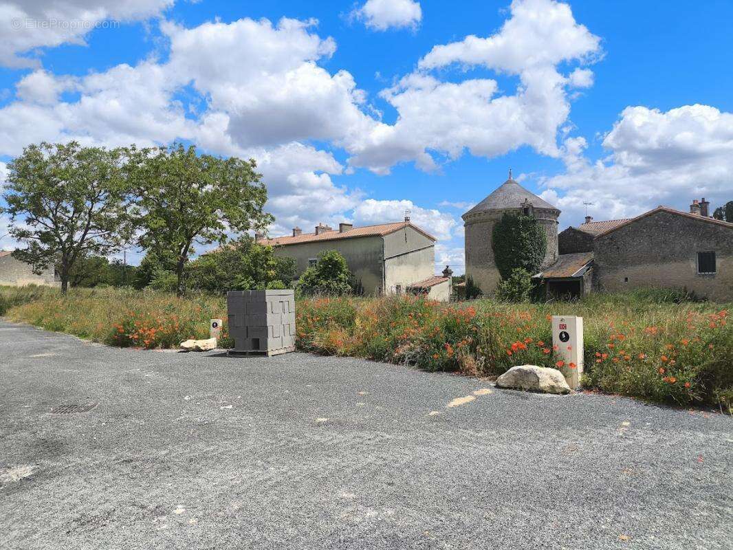 Terrain à MIGNE-AUXANCES