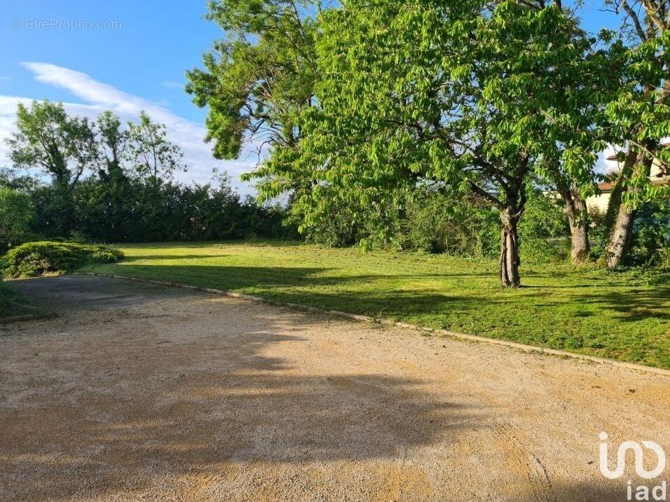 Terrain à MEXIMIEUX