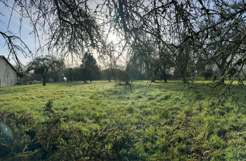 Terrain à LES ETANGS