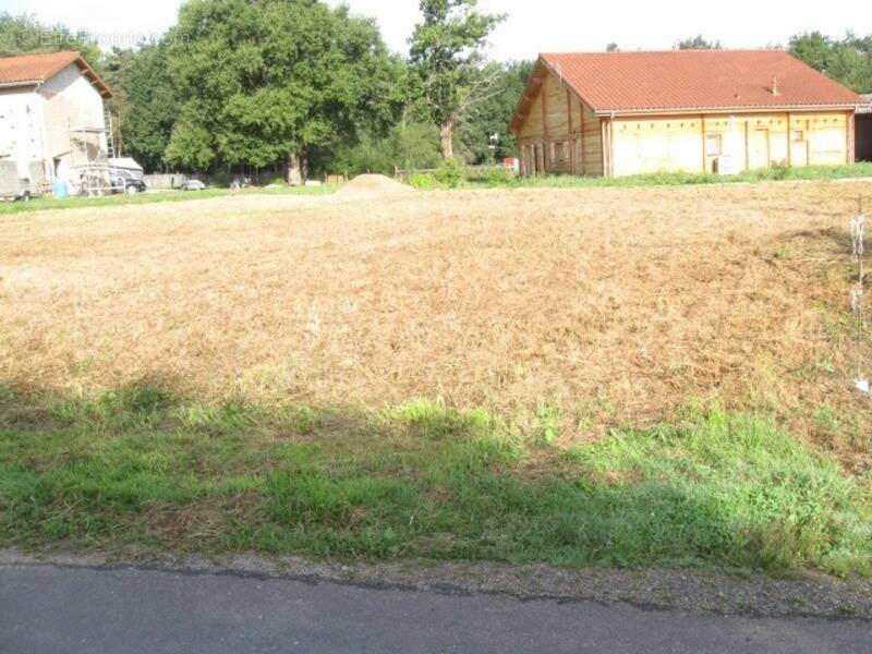 Terrain à LEZOUX