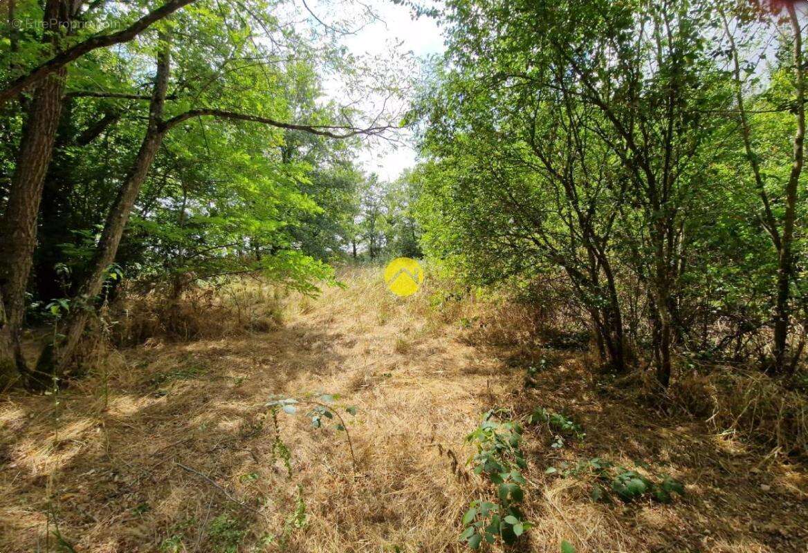 Terrain constructible de 2505 m² - photo 2