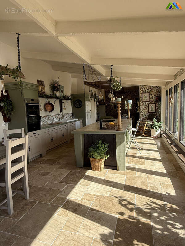Maison 296 m² à Trie-Sur-Baise  - photo 6