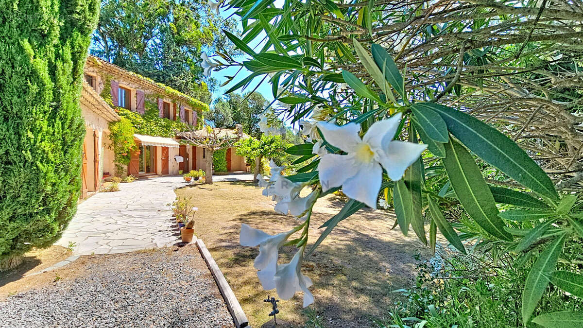 Villa  de charme a la tour de mare  frejus a l'abri des regards - photo 4