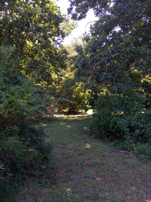 Maison à SAINT-CHRISTOLY-DE-BLAYE