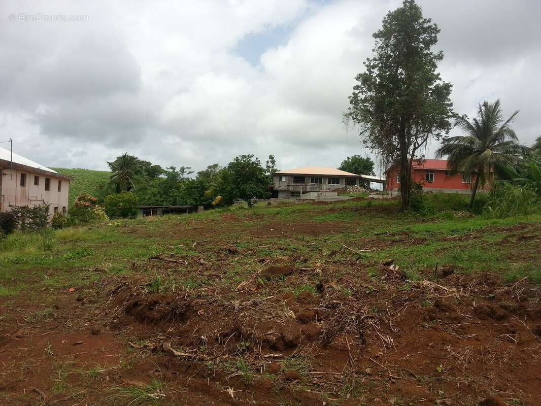 Terrain à LE FRANCOIS