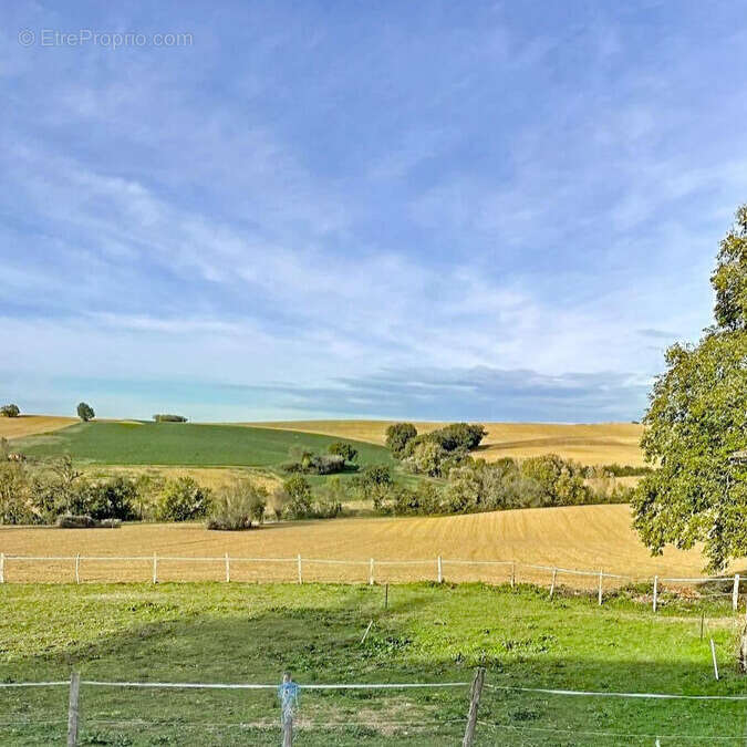 Proche CONDOM - Maison de campagne secteur CASTERA-VERDUZAN sur 10.095m² de terrain. - photo 2