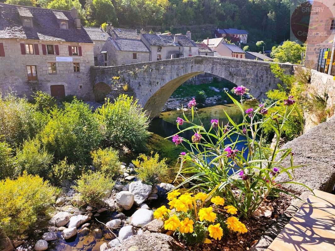 Maison à LE PONT-DE-MONTVERT