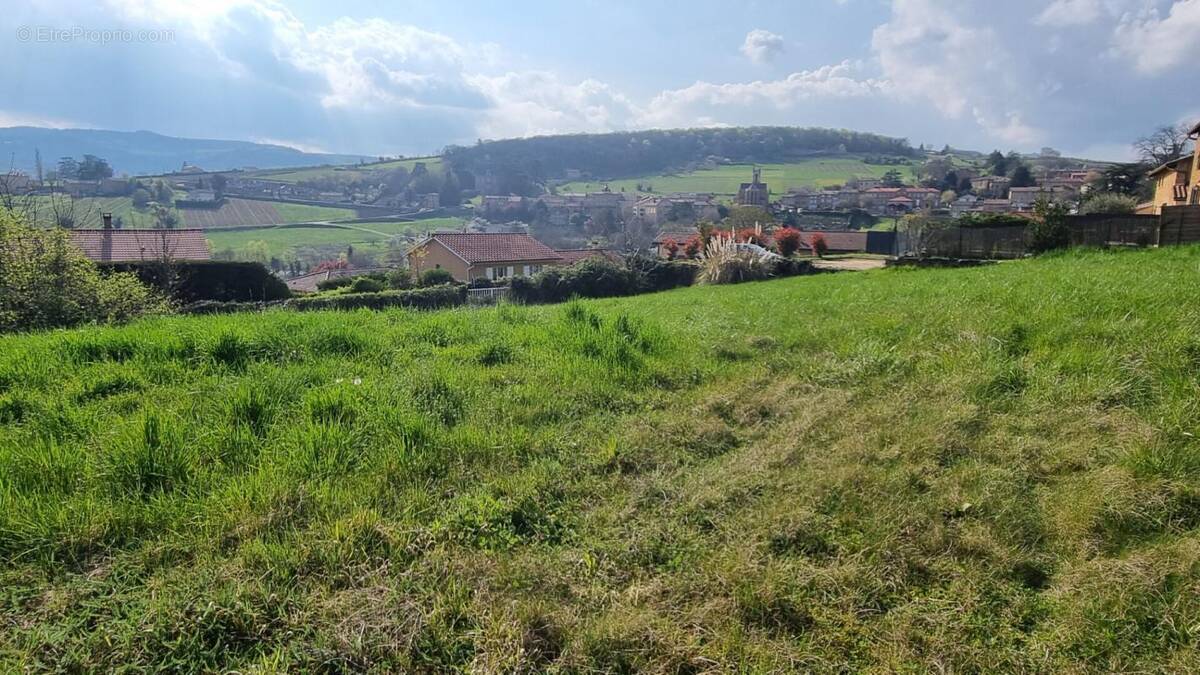 Terrain à COGNY