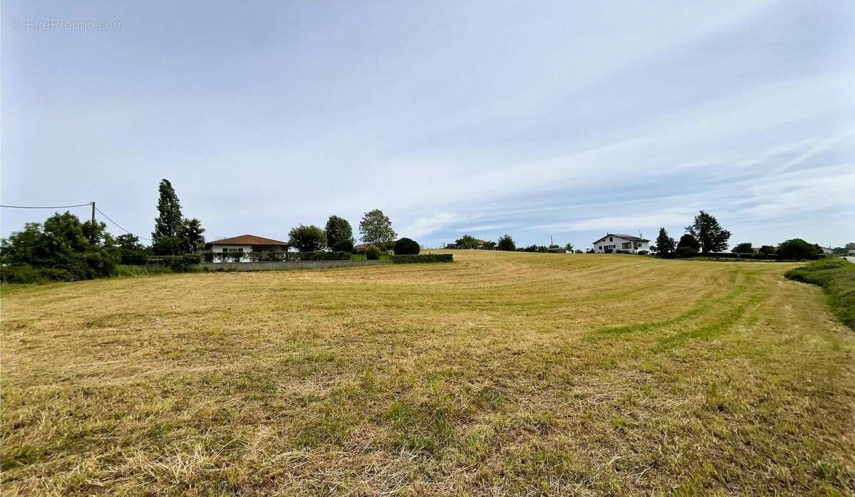 Terrain à SAINT-PALAIS