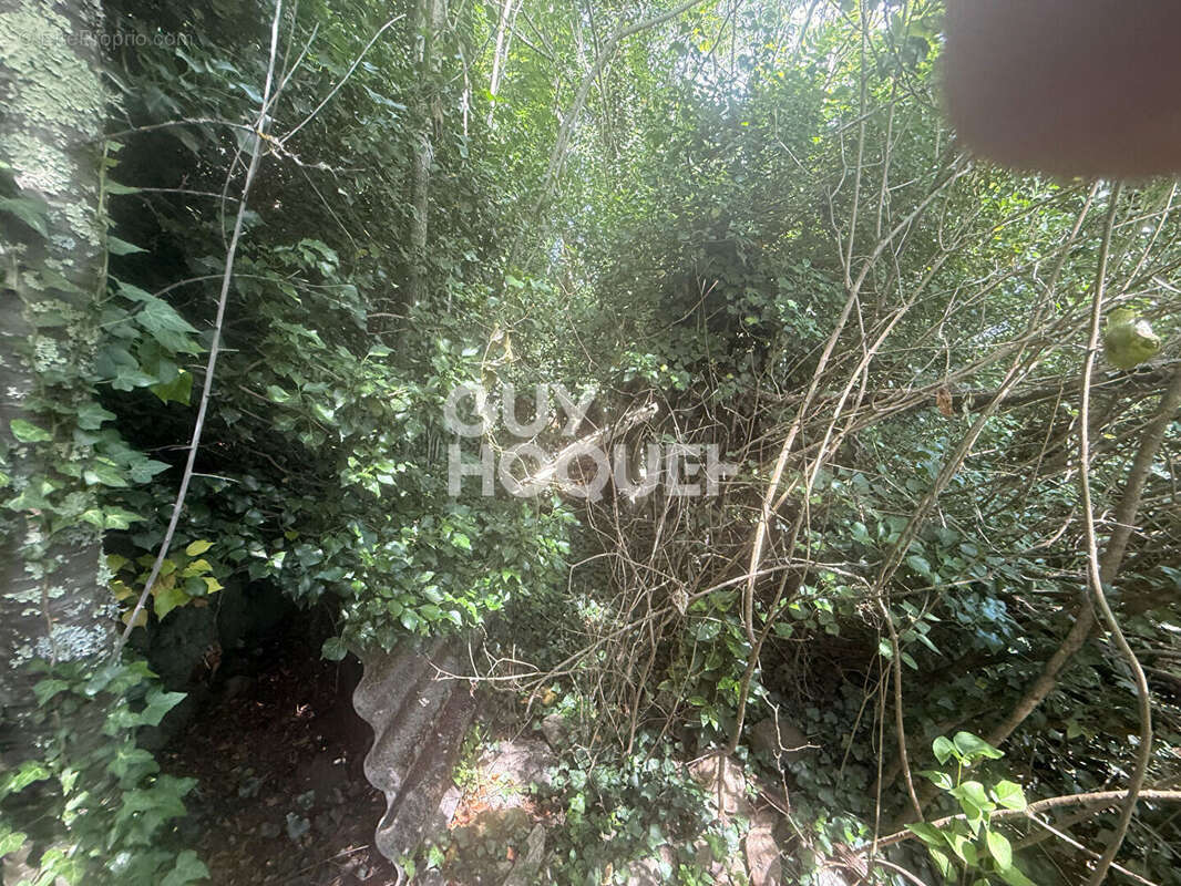 Terrain non constructible - 1 290 m² - Environnement naturel et privilégié - photo 11