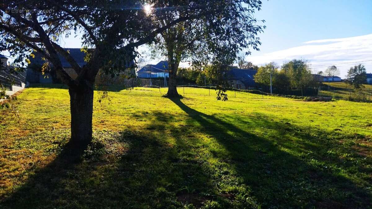 Terrain à FRECHOU-FRECHET