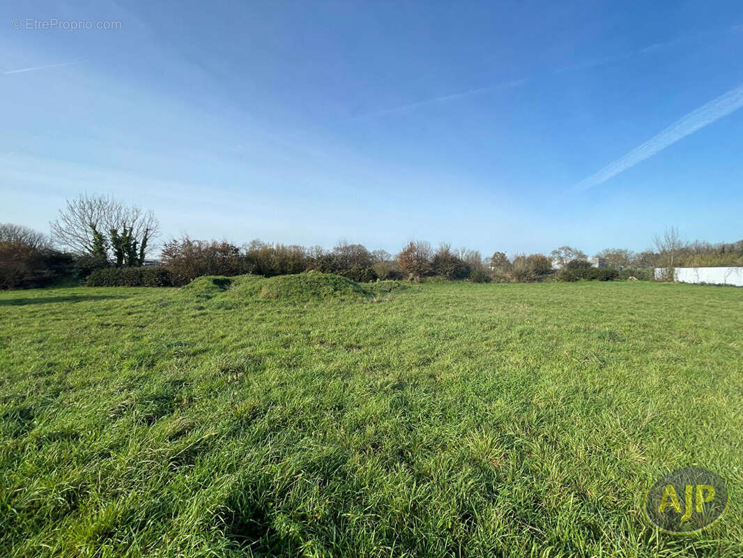 Terrain à CHALLANS