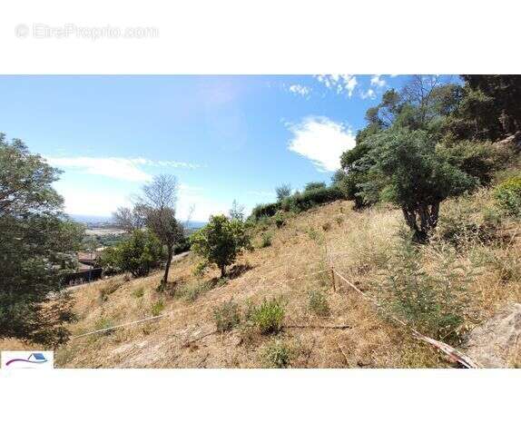 Terrain à MANDELIEU-LA-NAPOULE