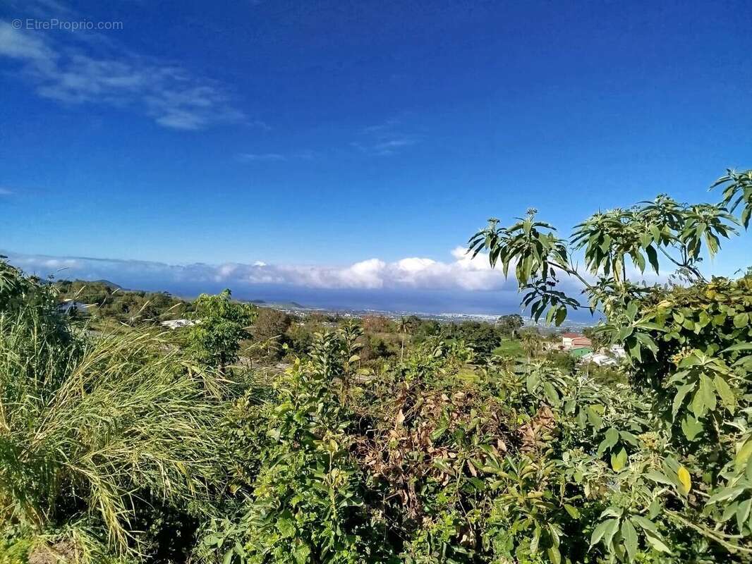 Terrain à LE TAMPON