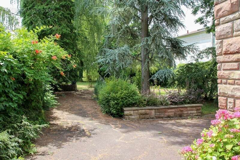 Maison d'architecte 5 pièces et magnifique jardin arboré DOULCON 55 - photo 22