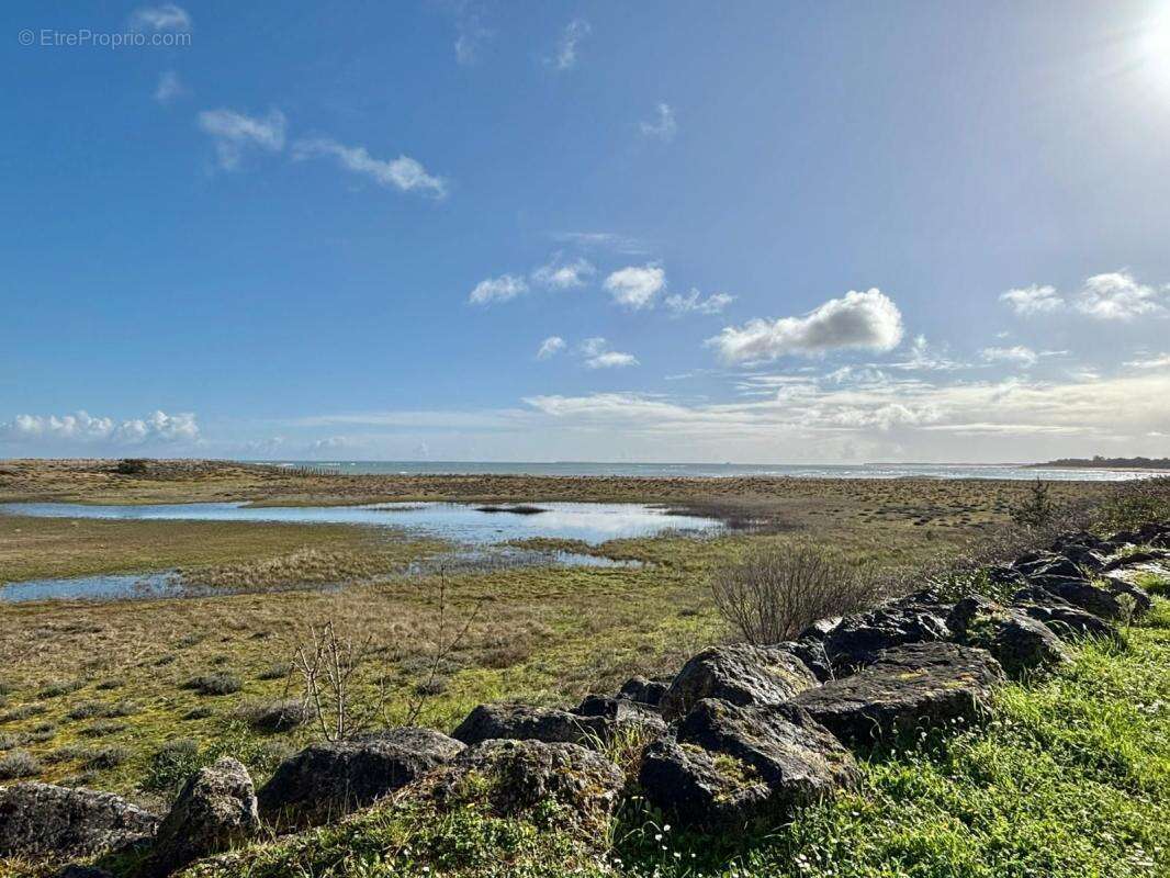 À vendre – Belle maison familiale avec vue mer, dépendance et jardin – La Brée-les-Bains, plage à pied - photo 32