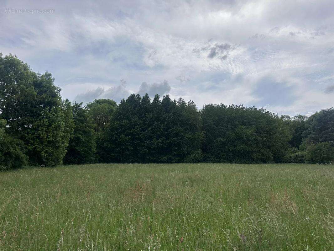 Terrain à AMBLAINVILLE