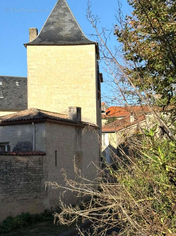 OVERVIEW - Maison à TUSSON