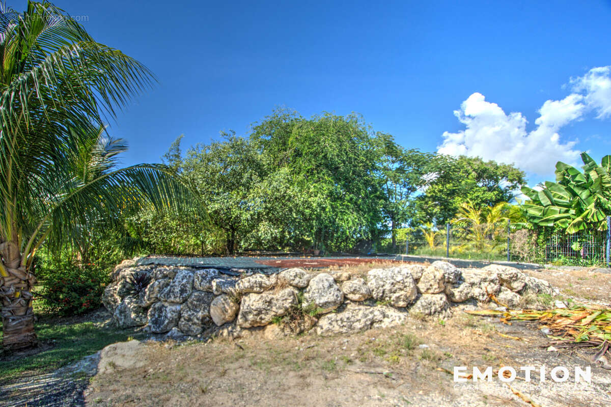 Maison à SAINT-FRANCOIS