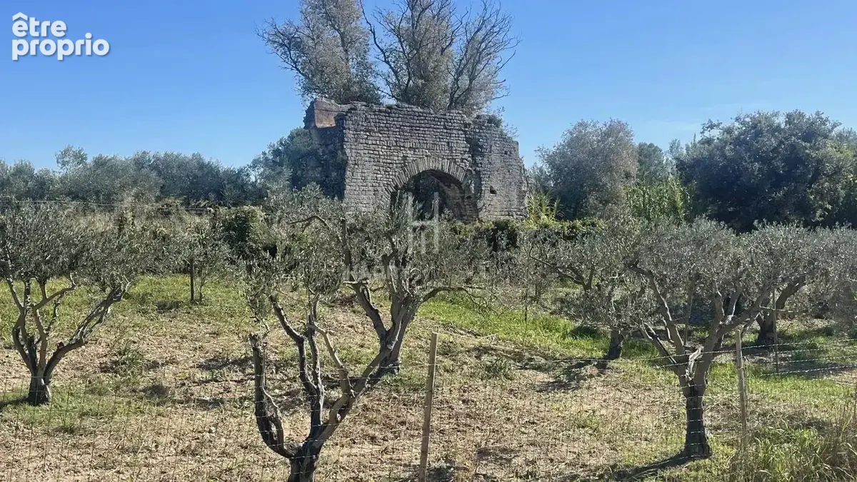 Propriété Alpilles Sud  dans site exceptionnel et protégé - photo 19