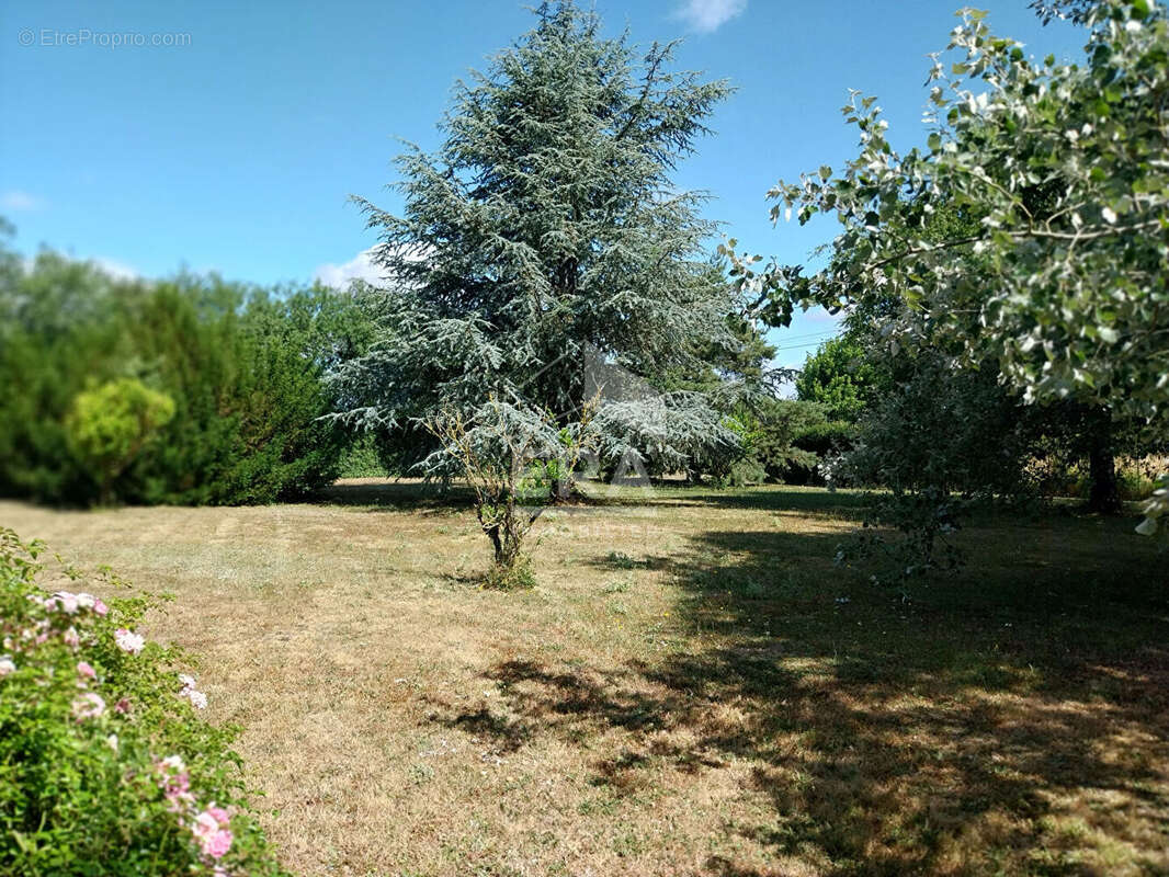 Maison à AVRILLE-LES-PONCEAUX