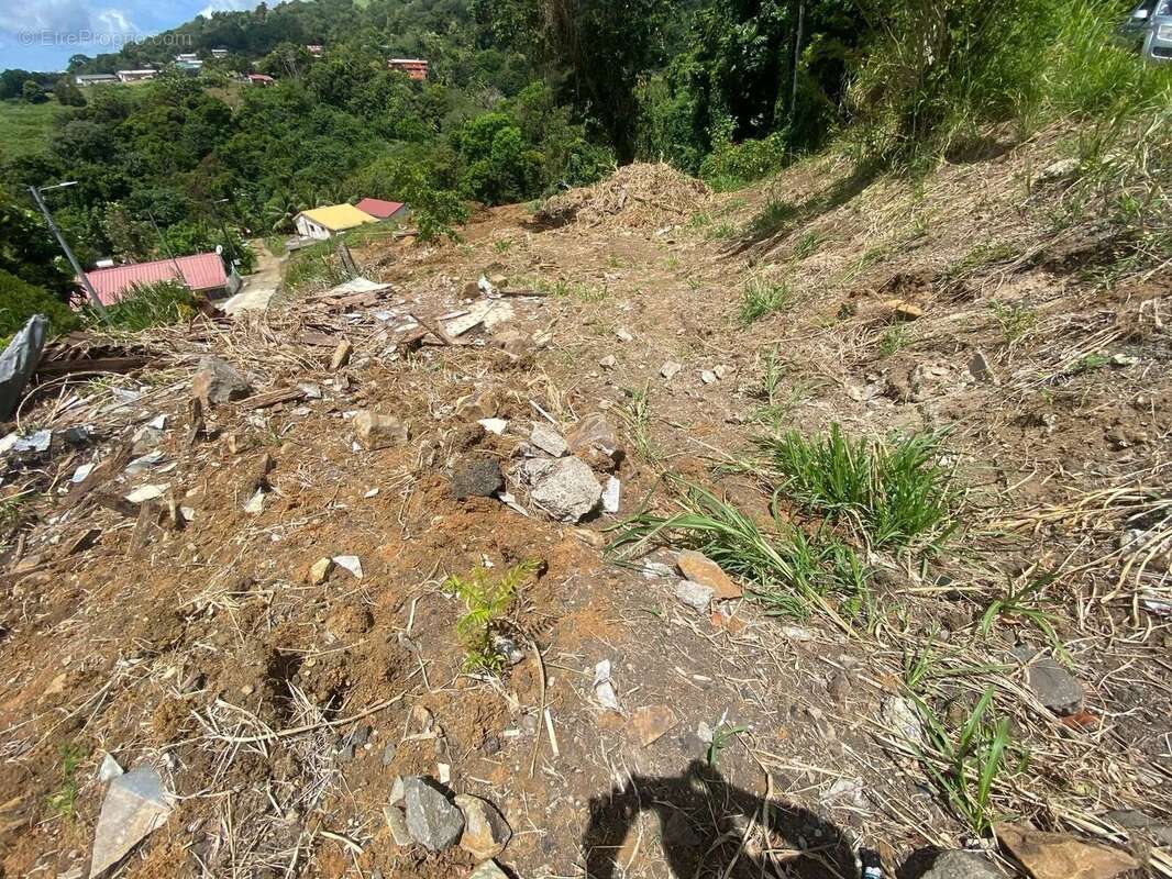 Terrain à LE VAUCLIN