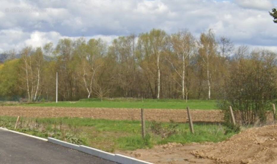 Terrain à DANNEMARIE