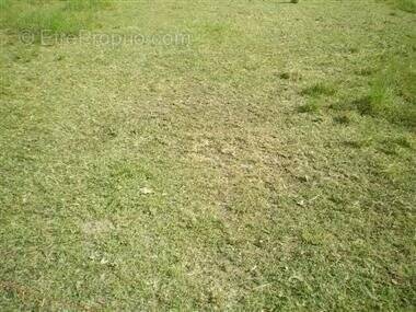 Terrain à SAINT-GEORGES-DE-DIDONNE