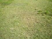 Terrain à SAINT-GEORGES-DE-DIDONNE