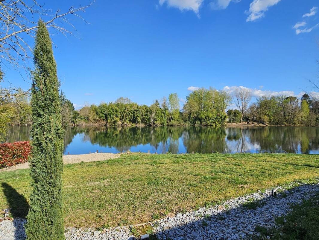 Photo 1 - Maison à ALBI