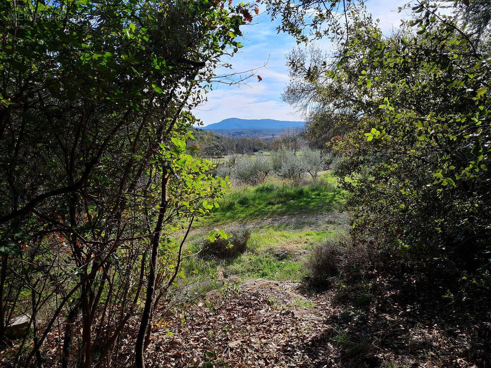 Maison à DURFORT-ET-SAINT-MARTIN-DE-SOSSENAC