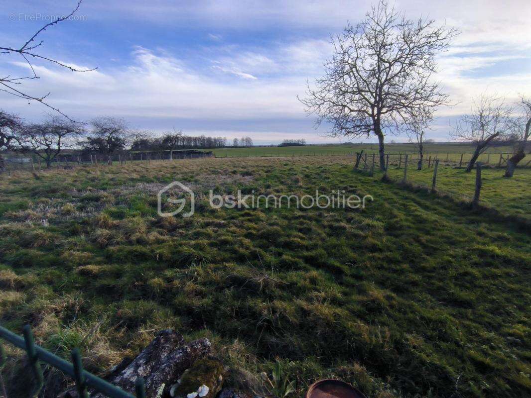 Maison 4 pièces avec dépendances sur 4447m² de terrain - photo 17