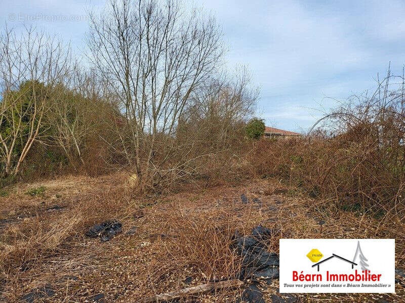 Terrain à SALIES-DE-BEARN