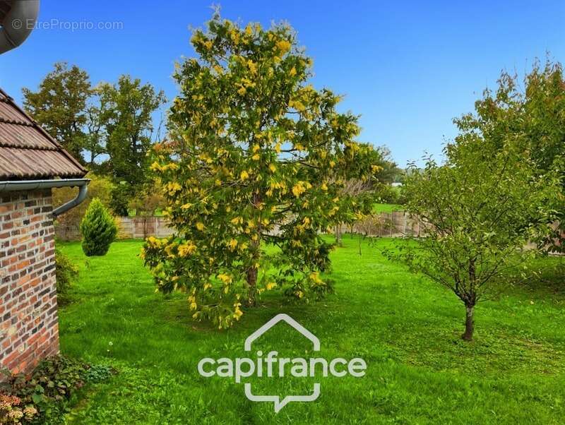 Maison à FRANGY-EN-BRESSE