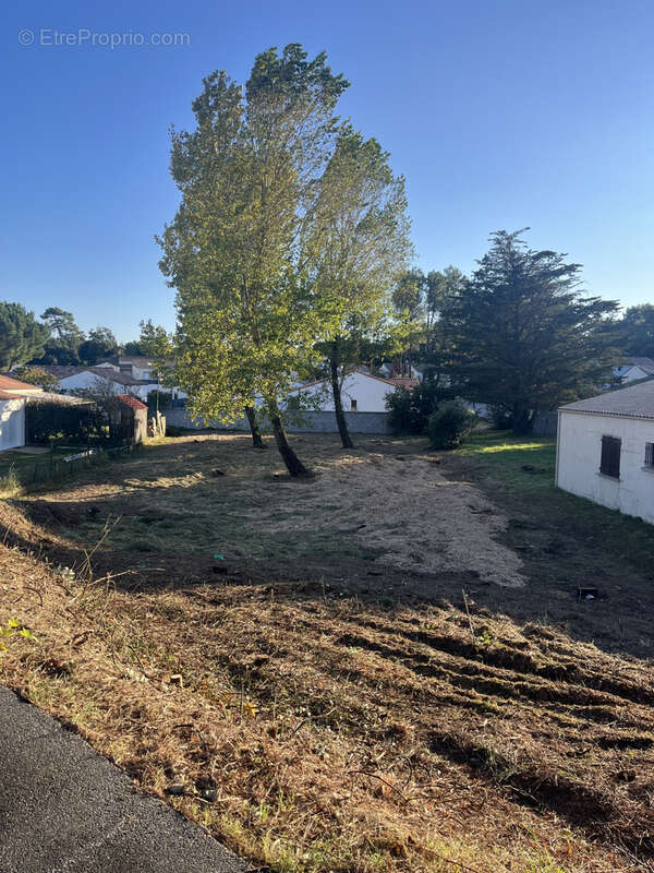 Terrain à LA TRANCHE-SUR-MER
