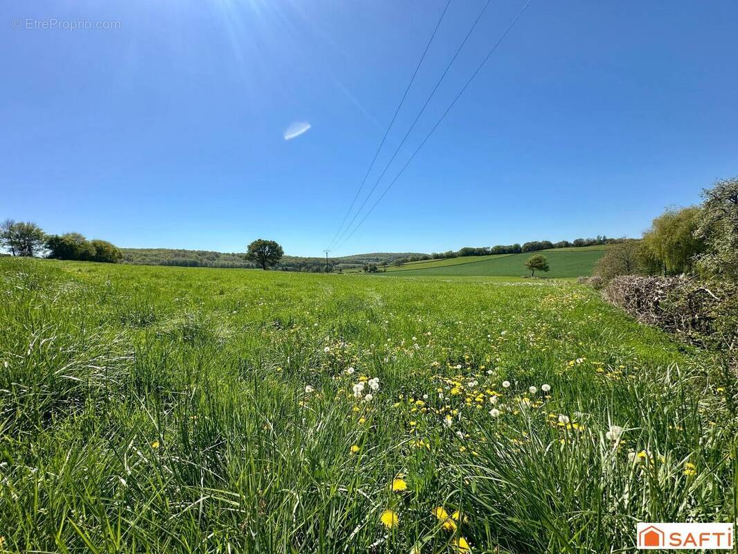 Photo 1 - Terrain à LA FERMETE